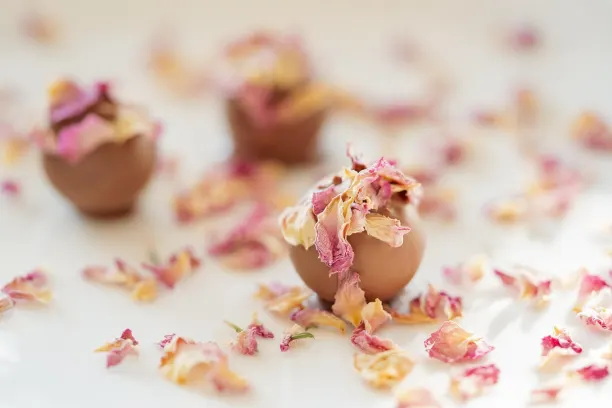 Coin365Bet Kazino Android/iOS programa